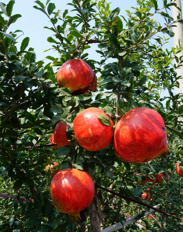 1475981757609389.png 2.png