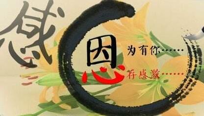 1483689119115668.jpg 2.jpg